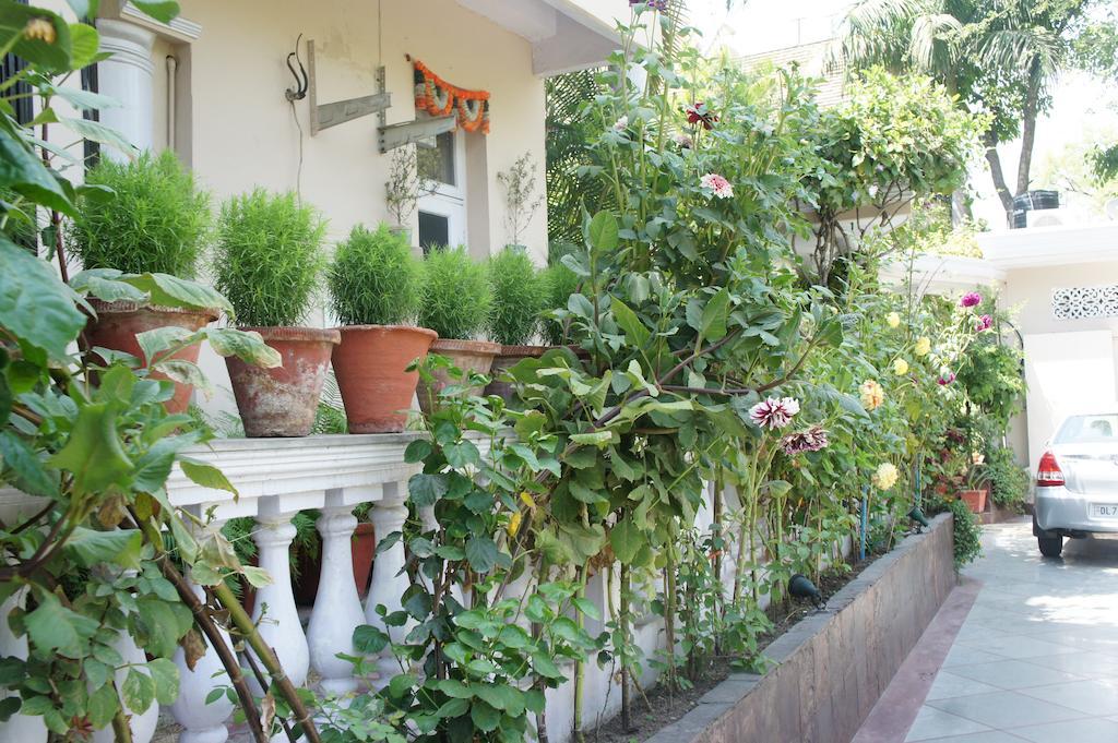 Sirohi House Bed & Breakfast