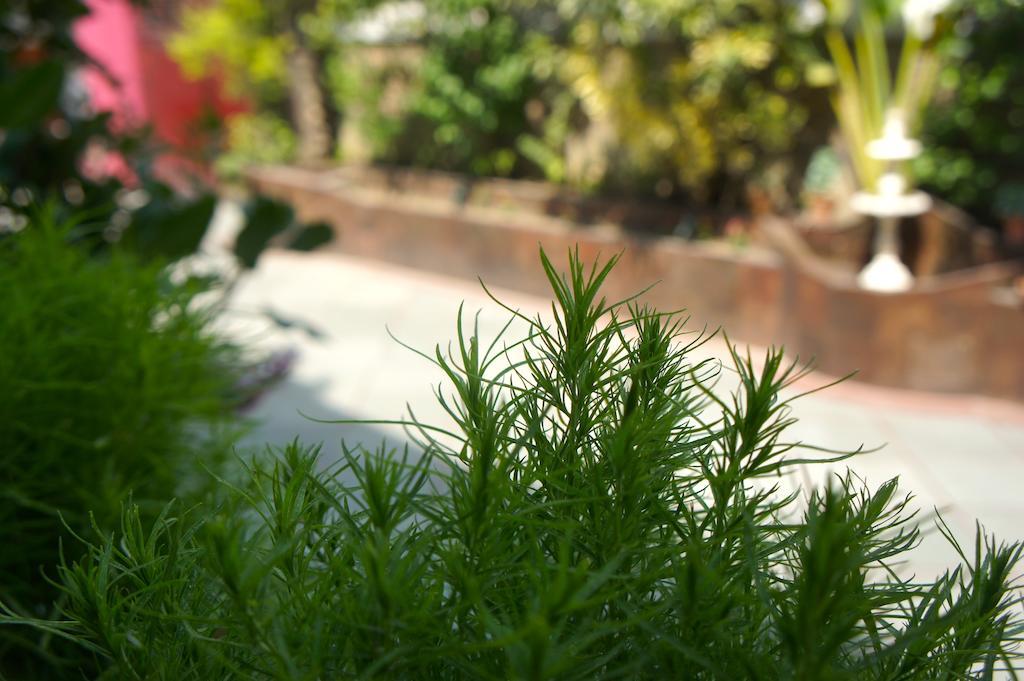 Sirohi House Bed & Breakfast New Delhi