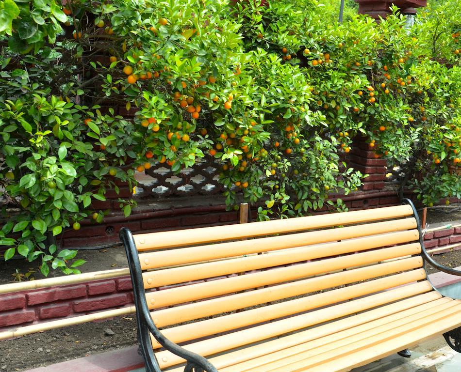 Bed & Breakfast Sirohi House