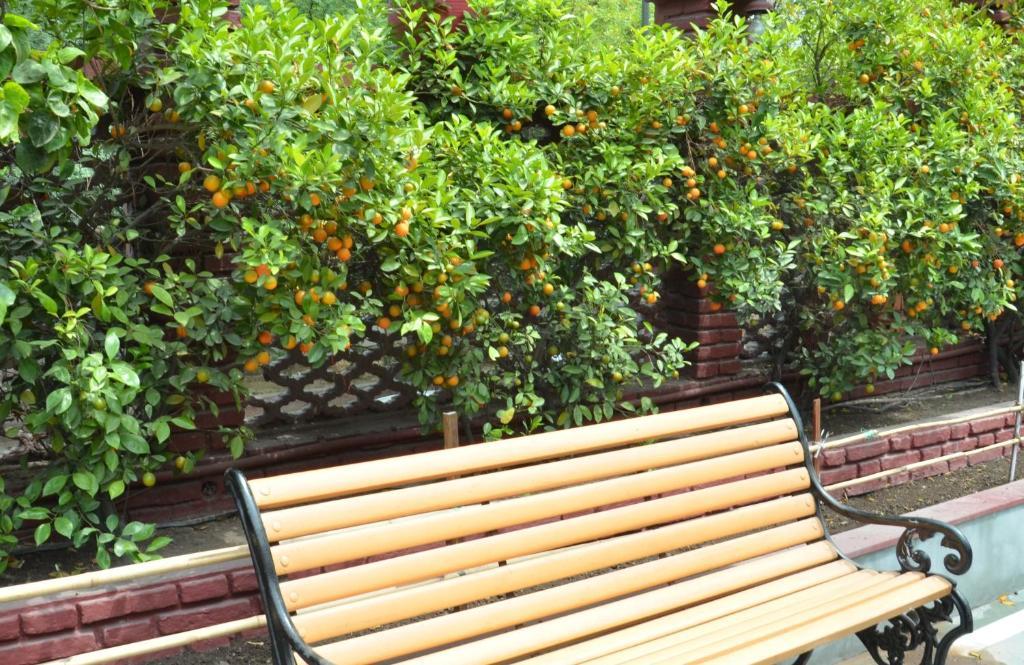 Bed & Breakfast Sirohi House New Delhi